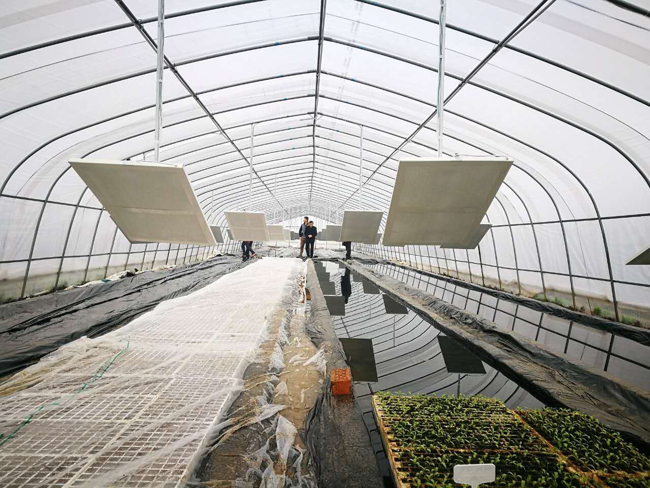 微信图片_20201223163711.jpg 微信图片_20201223163711.jpg