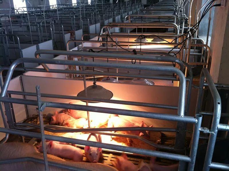 src=http___5b0988e595225.cdn.sohucs.com_images_20171228_29d871b1f62e4b76bc19def42617a71a.jpeg&refer=http___5b0988e595225.cdn.sohucs.jpg src=http___5b0988e595225.cdn.sohucs.com_images_20171228_29d871b1f62e4b76bc19def42617a71a.jpeg&refer=http___5b0988e595225.cdn.sohucs.jpg